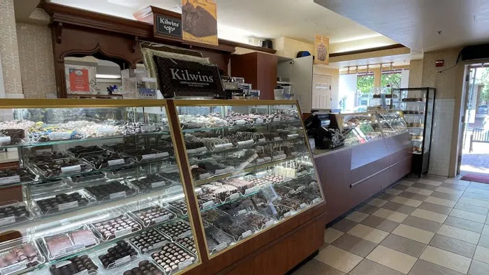 Kilwins Ice Cream - Chocolate - Fudge Picture 5