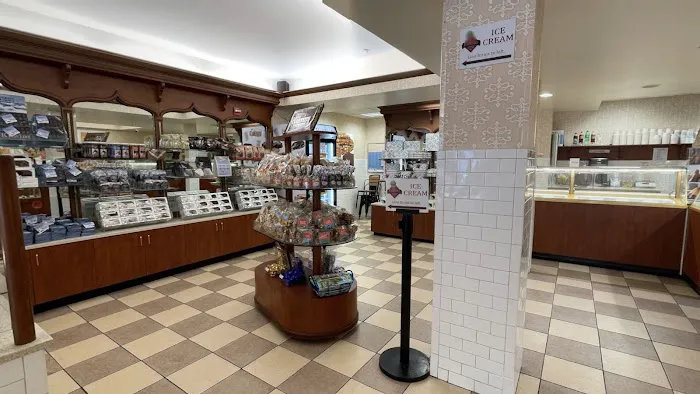 Kilwins Ice Cream - Chocolate - Fudge Picture 9