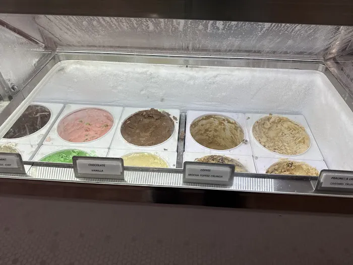 Storm Bros. Ice Cream Factory Picture 5