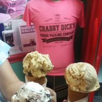 Ice Cream Parlor ico