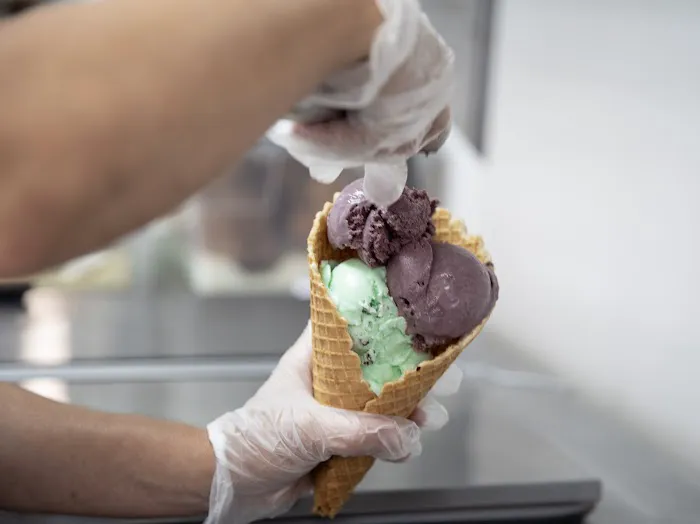 Tasty Toucan Handcrafted Ice Cream and Paleta-Pops! Picture 2