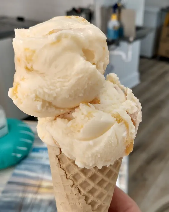Tasty Toucan Handcrafted Ice Cream and Paleta-Pops! Picture 9