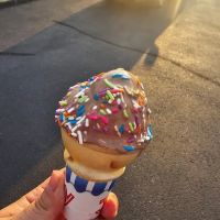 What's the Scoop? ico