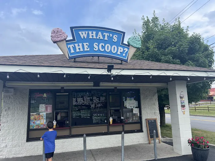 What's the Scoop? Picture 3