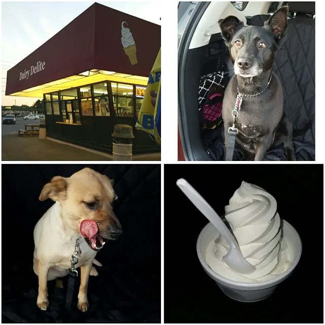 Dairy Delite Picture 1