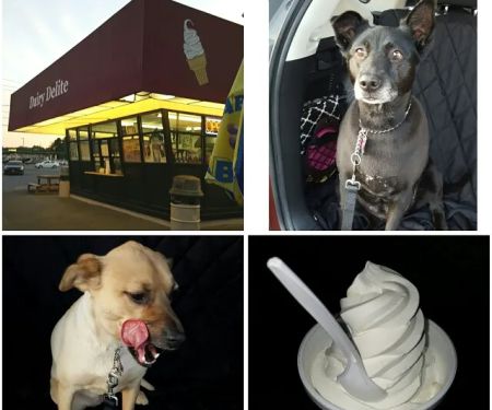 Dairy Delite