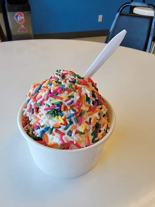 Chester Ice Cream Picture 1