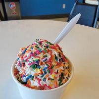 Chester Ice Cream ico
