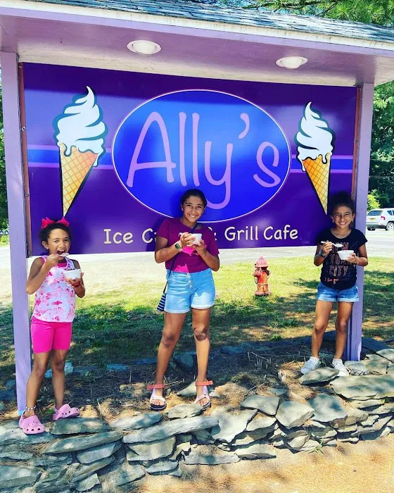 Ally's Ice Cream & Grill Cafe Picture 9