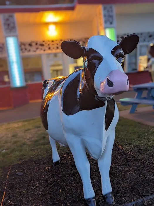 The Jolly Cow P.E. - Rainbow Cow Picture 8