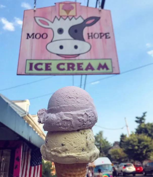 Moo Hope Ice Cream Picture 1