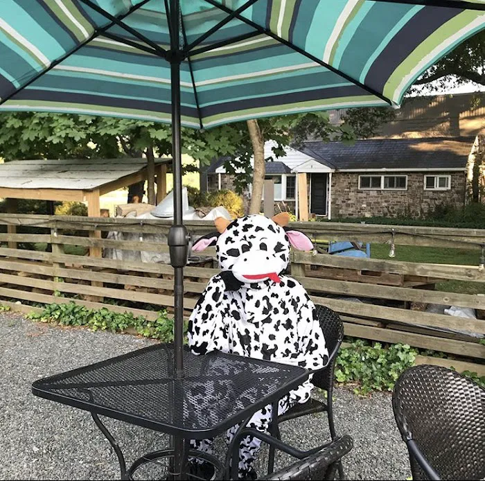 Moo Hope Ice Cream Picture 7
