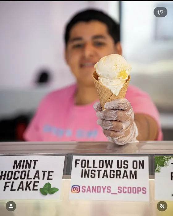 Sandy's Scoops Picture 4