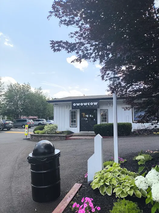 Owowcow Creamery Picture 10