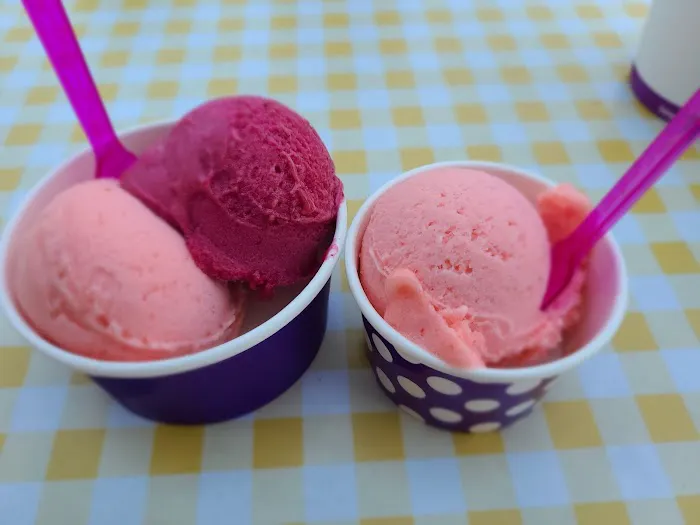 Gotta Lotta Gelata Picture 2