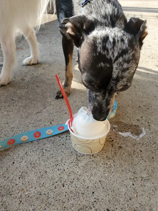 dairy queen ringwood Picture 9