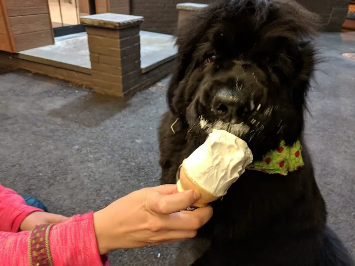 Dairy Queen Picture 10