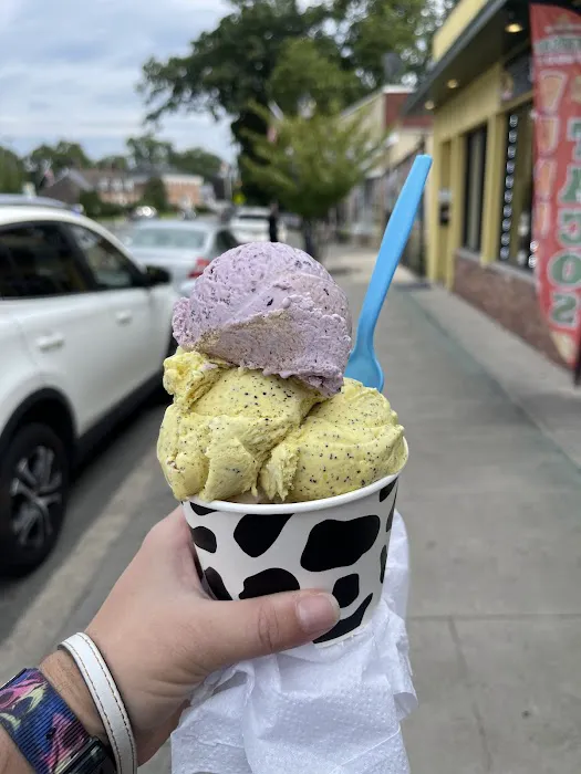 Randy's Homemade Ice Cream Picture 6