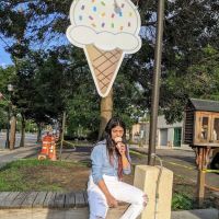 Summer Ville Homemade Ice Cream ico