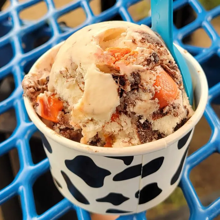Scoops Picture 5