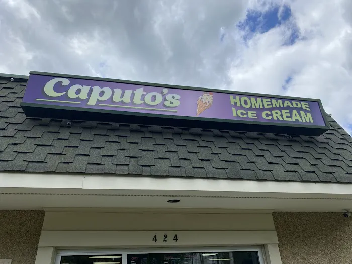 Caputo’s Homemade Ice Cream Picture 2