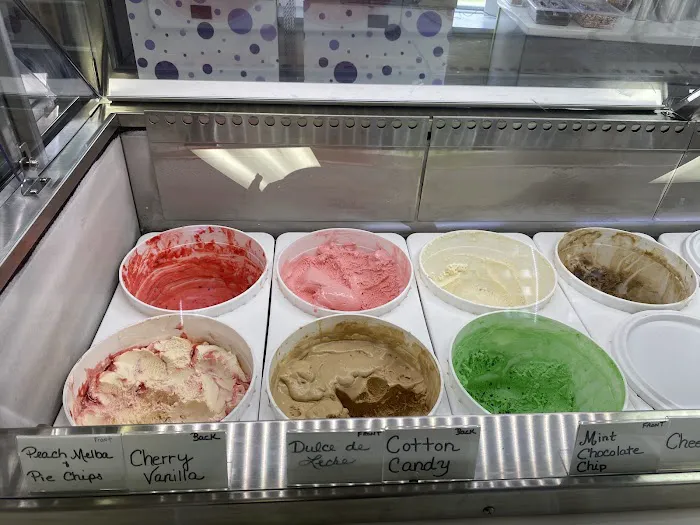 Caputo’s Homemade Ice Cream Picture 3