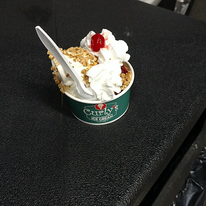 Curly's Ice Cream Picture 7
