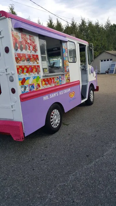 Mr. Sams Ice Cream Truck Picture 5