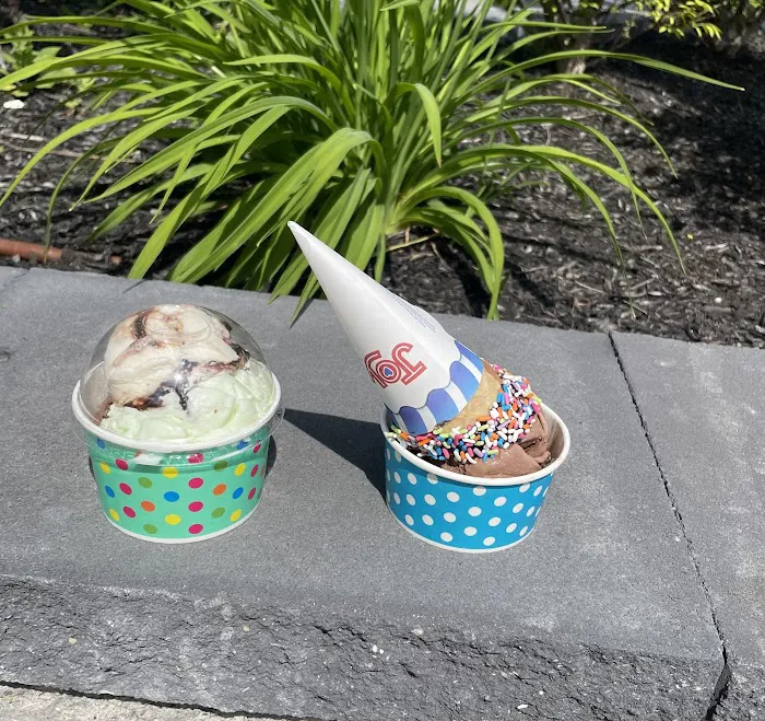 Ice Cream Sensation Picture 6