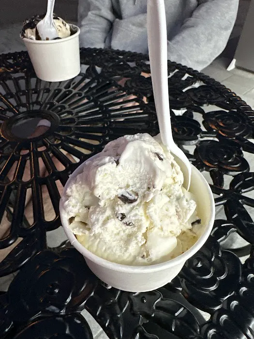 Ice Cream Sensation Picture 3