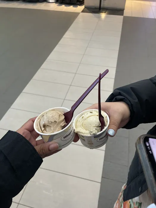 Haagen-Dazs Ice Cream & Coffee Picture 3