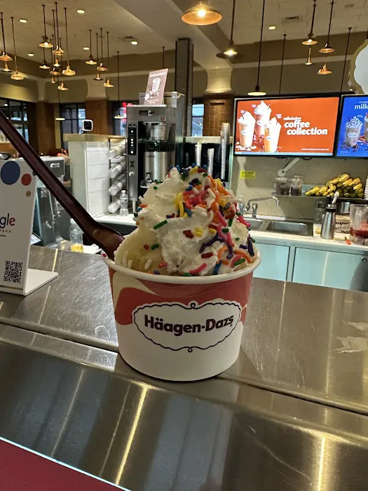 Haagen-Dazs Ice Cream & Coffee Picture 4