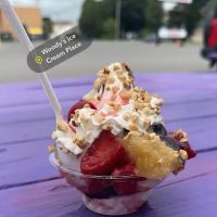 Woody's Ice Cream Place ico