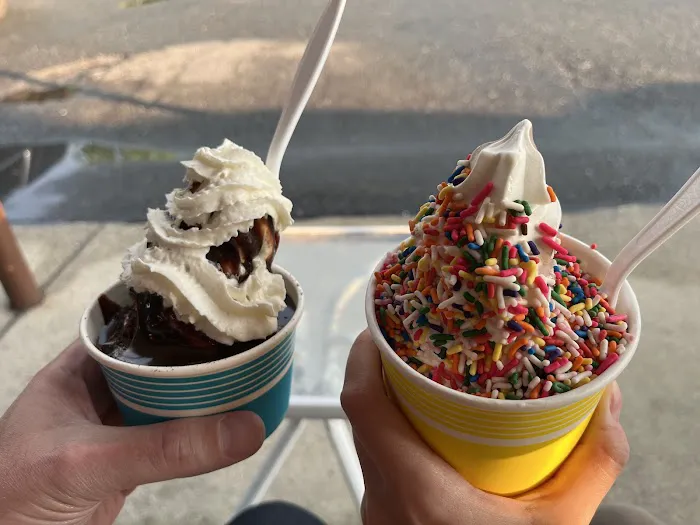 Shady Side Soft Serve Ice Cream Picture 5