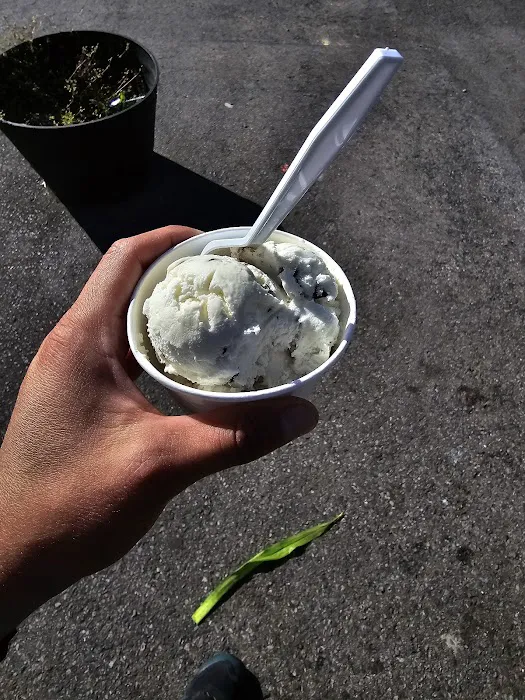 Ron's Ice Cream Picture 1