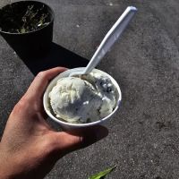 Ron's Ice Cream ico