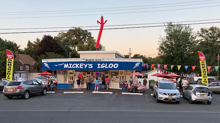 Mickey's Igloo Picture 6
