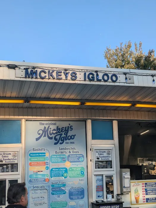 Mickey's Igloo Picture 5