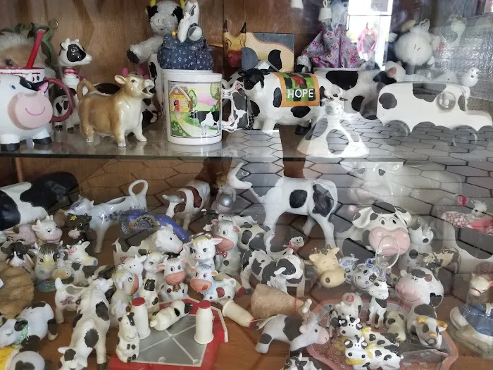 Holy Cow Picture 2