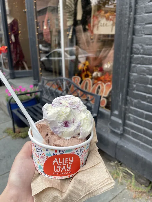 Alleyway Ice Cream Picture 4