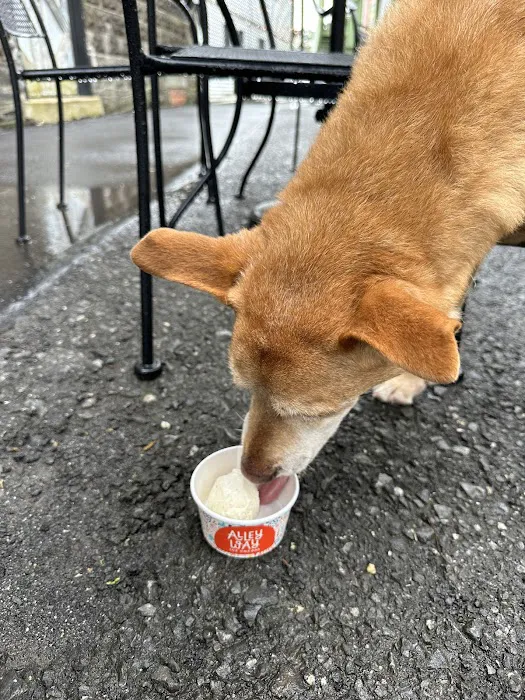 Alleyway Ice Cream Picture 2