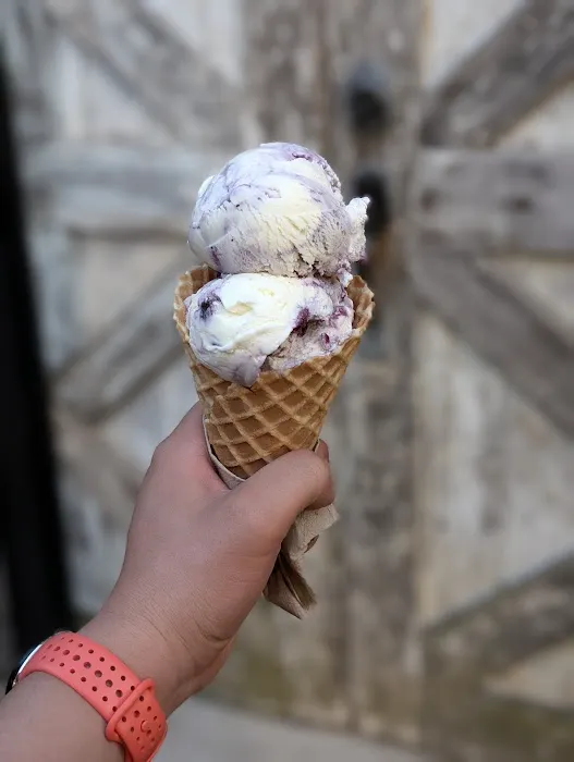 Alleyway Ice Cream Picture 5