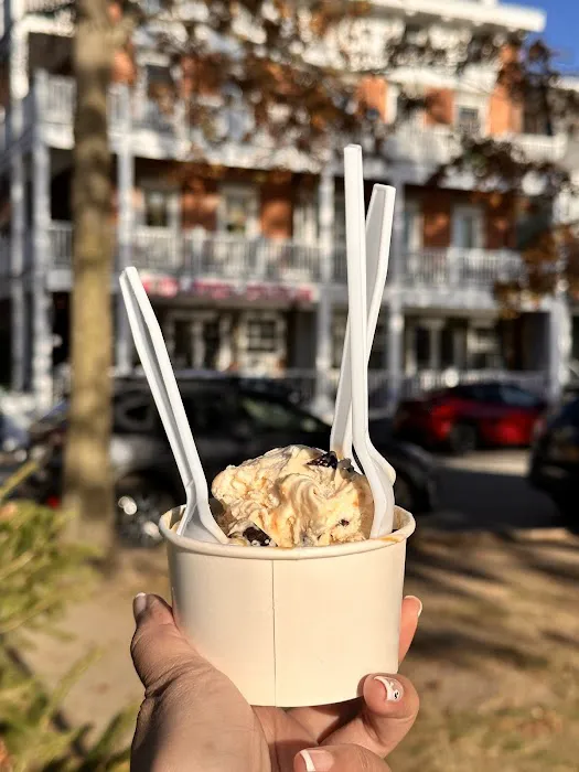 Moo Moo's Creamery - The World’s Best Ice Cream Shop Picture 4