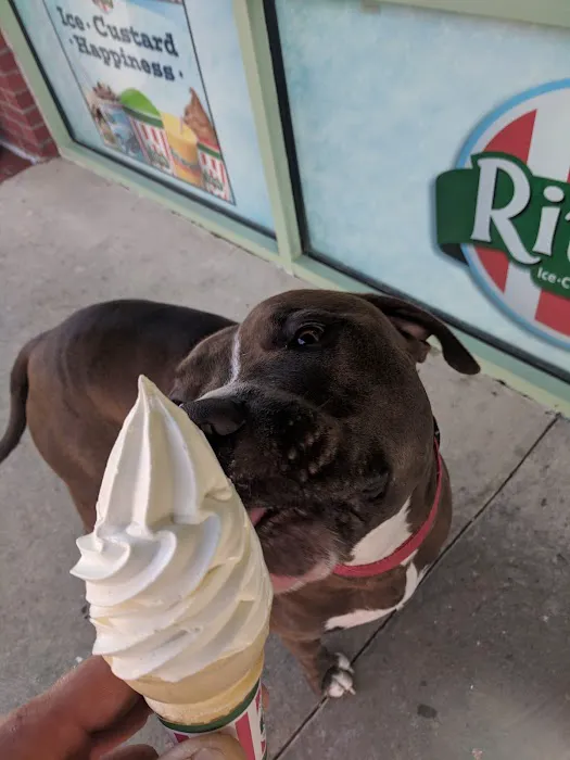 Rita's Italian Ice & Frozen Custard Picture 8