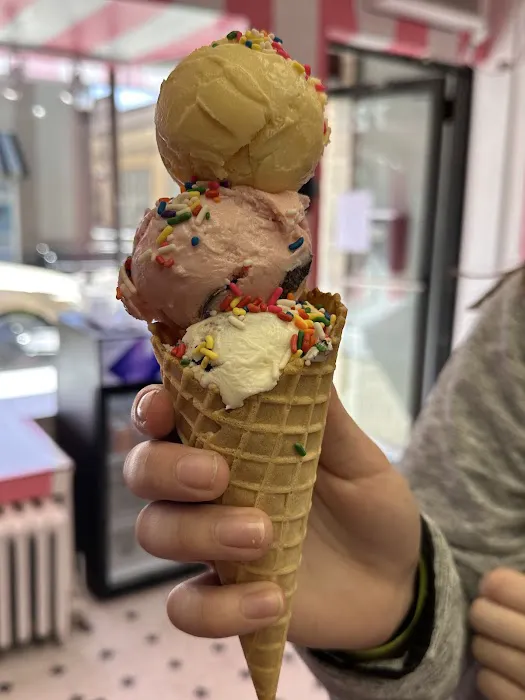 Grandma Jannah’s Ice Cream Parlor Picture 4