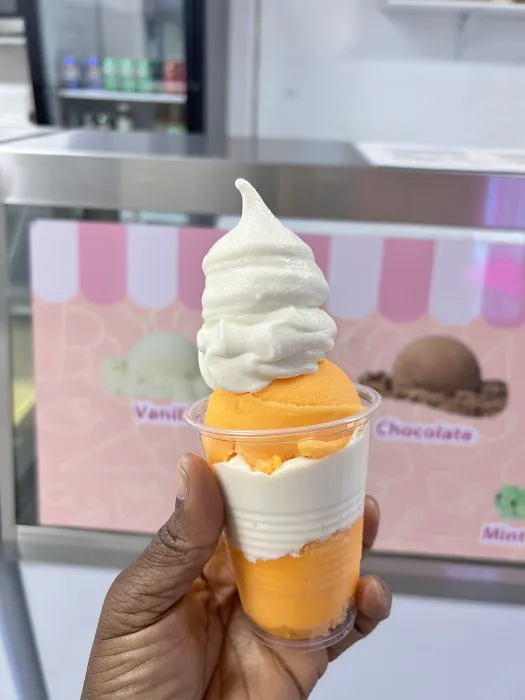 Kozies water ice &ice cream Picture 9