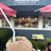 Newtown Ice House ico