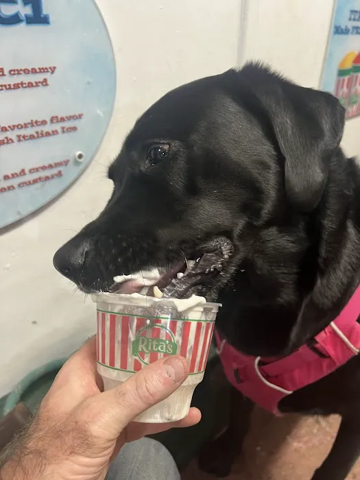 Rita's Italian Ice & Frozen Custard Picture 4