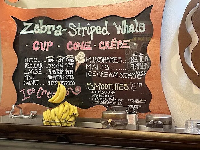 Zebra Striped Whale Picture 7