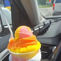 Le scoop's ico